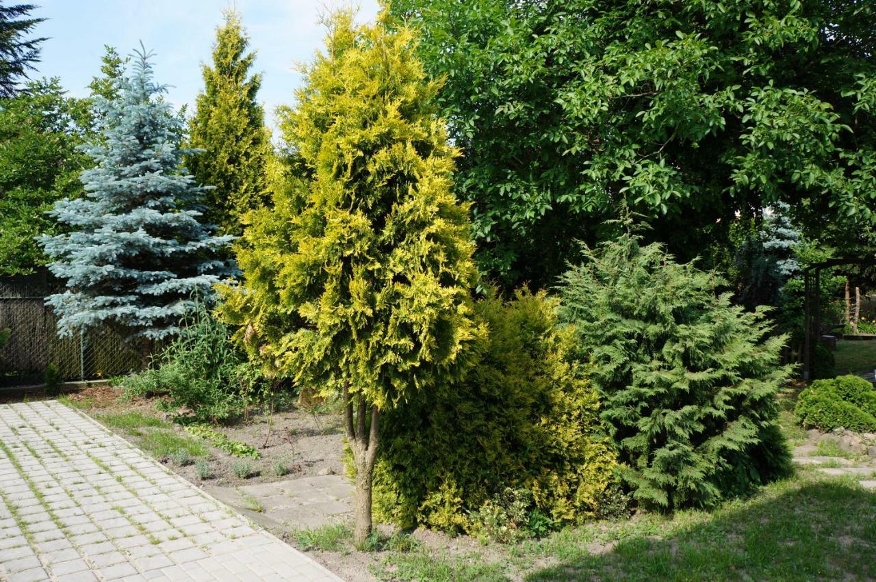 Apartamenty z klimatem Poznan Bagian luar foto